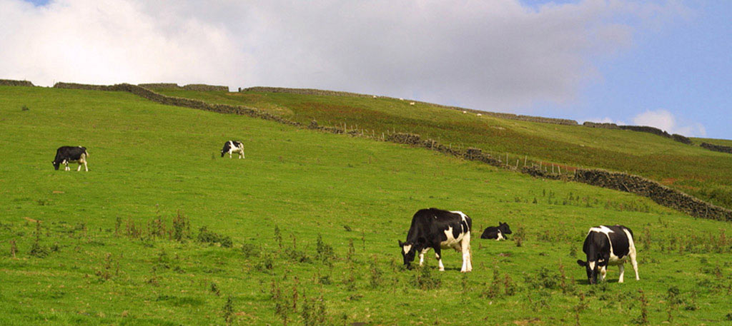 explore the british and irish countryside on a self guided walking tour