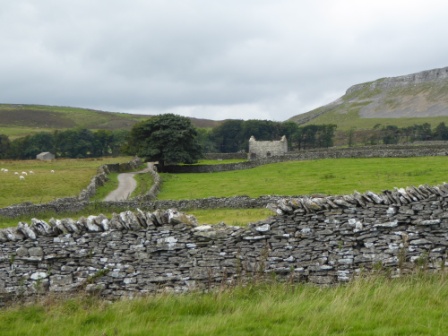 fields and barns in wensleydale